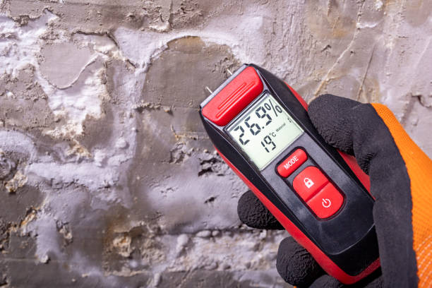 Best Home Mold Removal  in Mountain Top, PA